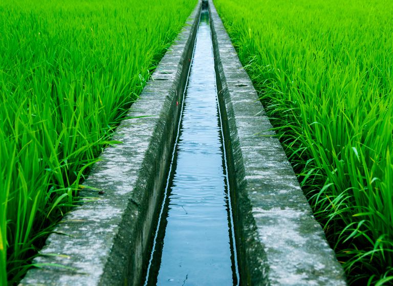 La gestion de l'eau dans la solidarité internationale